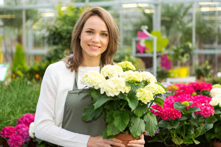 View of a Young attractive woman working at the plants nurseryの写真素材