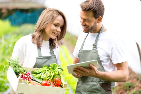 View of a Farmers working on a tablet after collecting vegetablesの写真素材