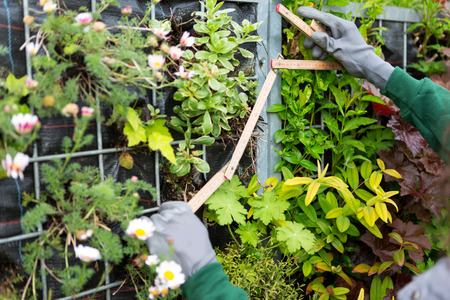 View of a Young attractive landscaper woman working in a public parkの写真素材