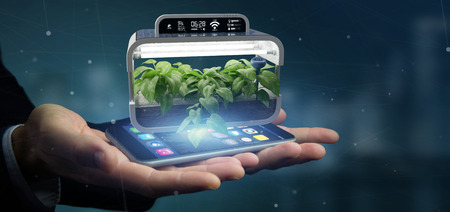 View of a Businesmann holding a Digital vegetal plant connected
