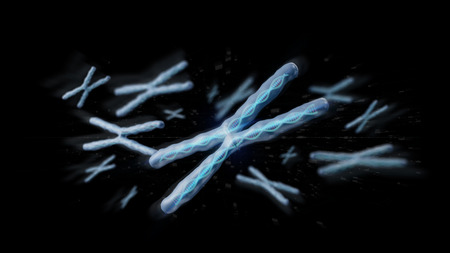 View of a Group of chromosome with DNA inside isolated on a background 3d renderingの写真素材