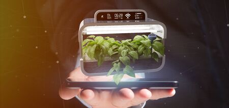 View of a Businesmann holding a Digital vegetal plant connected の写真素材
