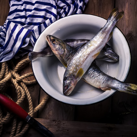 Raw river fish,knife and stripped vest on old wooden table. Style rustic, selective focus.