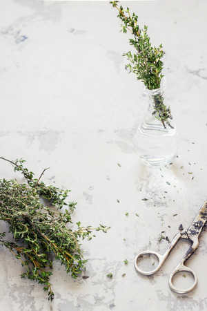 Thyme on white stone background. Selective focus.の写真素材