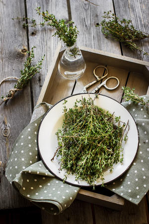 Thyme in vintage plate,napkin and scissors in wooden box. Wooden background. Selective focus.の写真素材