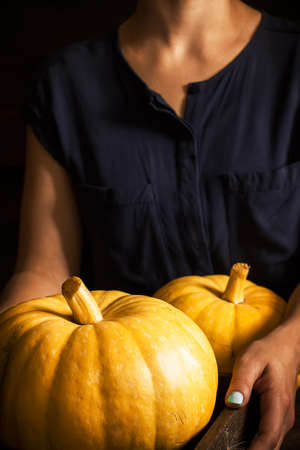 Pumpkins in female hands.Dark wooden table. Style rustic. Selective focus.の写真素材
