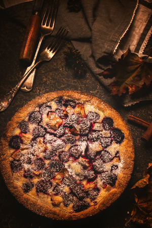 Homemade pie with apples and blackberry on dark stone background. Toned image. Style rustic.の写真素材