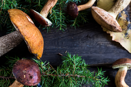 Forest mushrooms on rustic wooden table. Selective focus.の写真素材