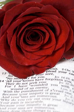 An open bible with a single red rose...  lost loveの写真素材