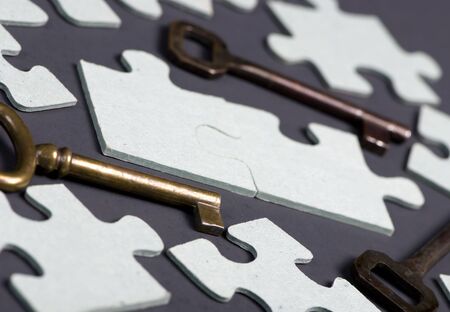 Putting all the pieces together is the key to successの写真素材