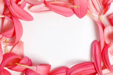 Bright pink flower pedal create a beautiful border.の写真素材