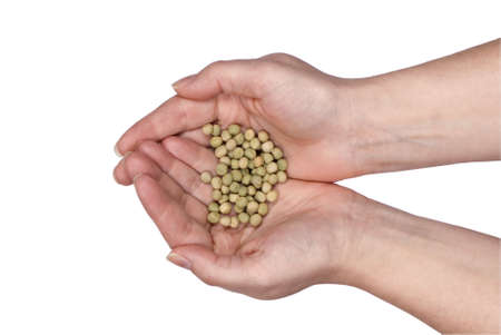 Two hands holding seeds for planting. Clipping pathの写真素材