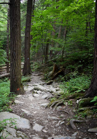 Bash Bish Falls