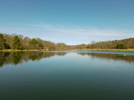 Lake in the forest on a sunny day. Blue sky and green trees.