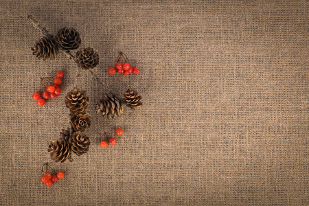 Composition of berries and branch with fir cones. Autumn conceptの写真素材