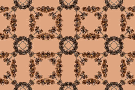 Abstract symmetrical background composed of natural branch with cones in brown colors