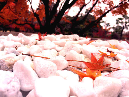 Close up shot of white stone