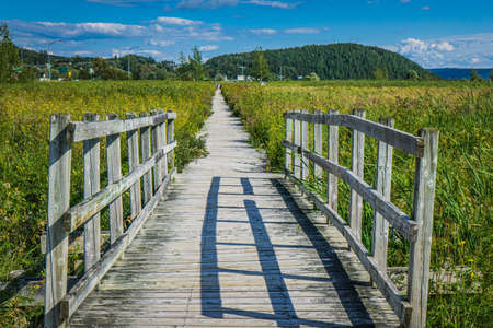 The boardwalk of the Saint Fulgence flats on a summer day, a marsh located on the Saguenay Fjord in Quebec (Canada)の写真素材