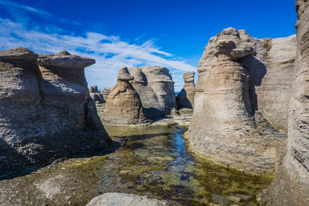 limestone outcroppings on the Nue Island, an island of the Mingan Archipelago national park in Cote Nord region of Quebec,の写真素材