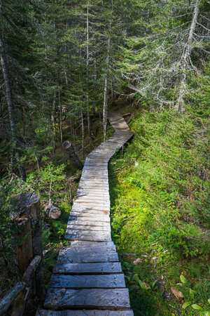 Boardwalk on the hiking trail leading to the bottom of Chute Au Tonnerre waterfall, near the small village of Riviere au Tonnerre in Cote Nord region of Quebec, Canadaの写真素材