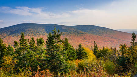 View on the mountains and the fall foliage of Mont Megantic National park from a belvedere along the "Sentier des Cimes" hiking trail, in Eastern Townships, Quebec, Canadaの写真素材