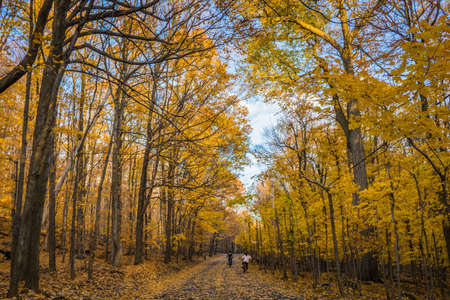 Hiking in the woods during fall in Mont Saint Bruno National Park, in Monteregie region of Quebec, Canadaのeditorial素材