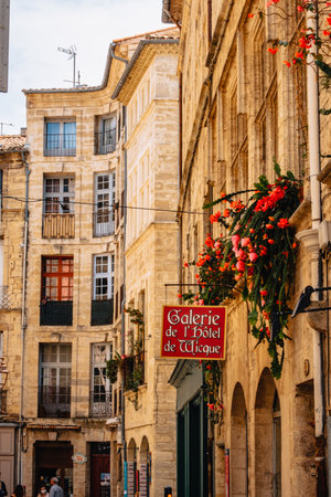 Beautiful medieval stone facades of Rue de la foire street in the old town of Pezenas in the south of France (Herault). The sign says "Gallery of Wicque mansion"のeditorial素材