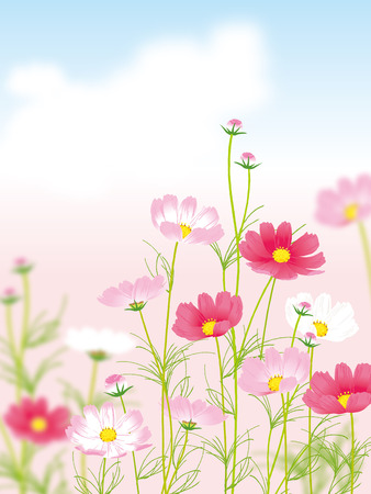 cosmos backgroundのイラスト素材