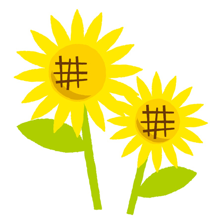 Sunflower icon isolated in Flat style on white background. Raster copy.のイラスト素材