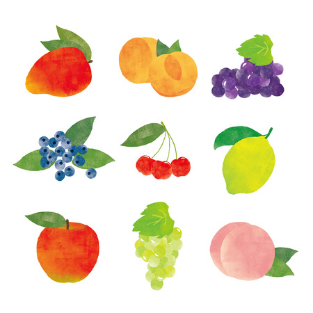 fruits setの写真素材