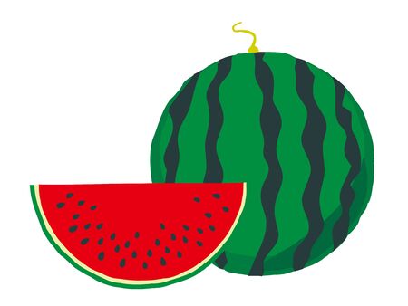 Watermelon isolated on white background. Vectorのイラスト素材