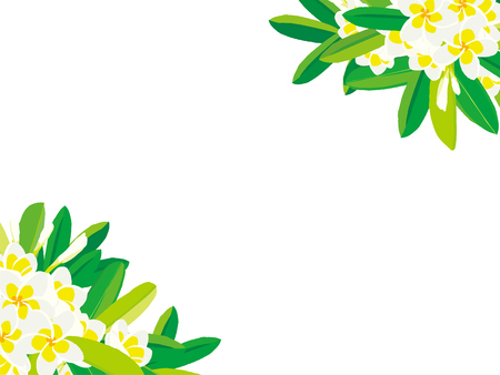 Tropical flowers plumeriaのイラスト素材