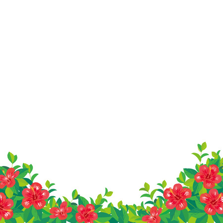 Tropical flowers hibiscus backgroundのイラスト素材
