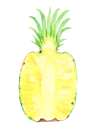 Pineapple slice. watercolor painting on white backgroundの写真素材