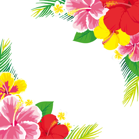 Tropical flowers hibiscus backgroundのイラスト素材