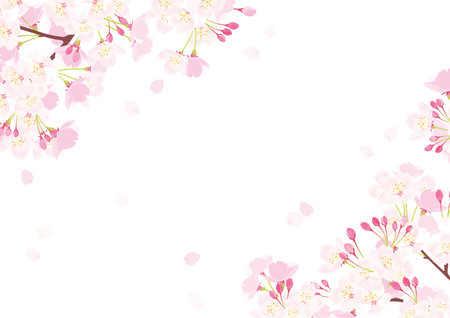 Cherry Blossom Background Illustrationのイラスト素材