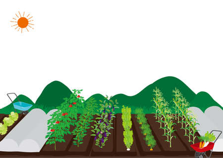 Landscape of the field Illustrationのイラスト素材