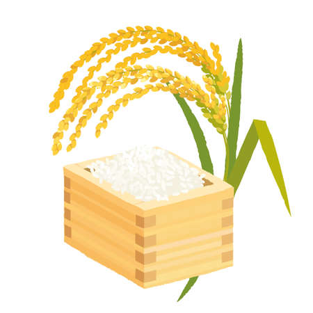 Rice in rice ears and masuのイラスト素材
