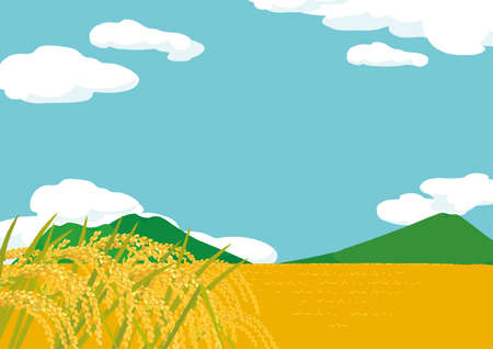 Rice cultivation landscape country scenery illustrationの写真素材