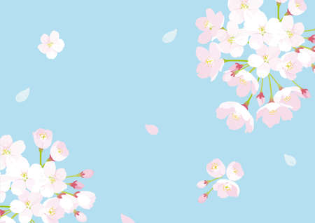 Cherry Blossom Background Illustrationのイラスト素材