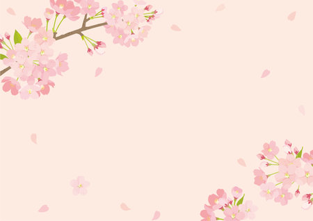Cherry Blossom Background Illustrationのイラスト素材