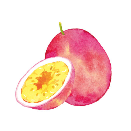 Passion Fruit Watercolor Illustrationの写真素材