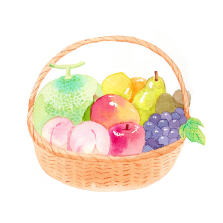 Basket Filled Fruit Watercolor Illustrationの写真素材