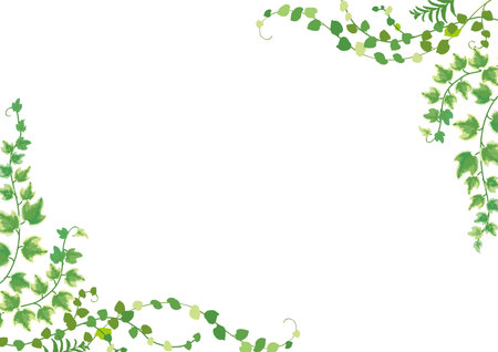 New green background illustration Ivy Naval Leafのイラスト素材