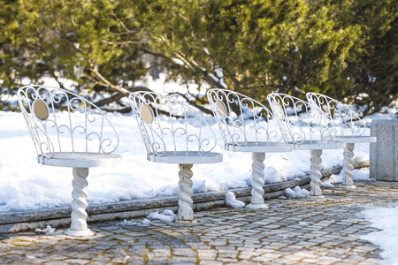 The empty white iron chairs in winter parkの写真素材