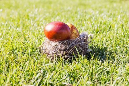 Colorful Easter Eggs On Green Grass  For Happy Easter Greetingsの写真素材