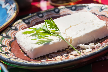 cheese with fresh parsley on the white plateの写真素材