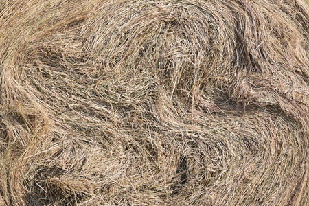Close up of a swirl of bailed hayの写真素材
