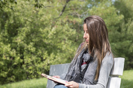 Young woman reading a book on a park bench in a lovely sunny dayの写真素材