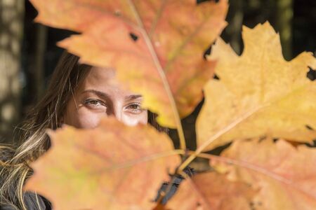 Young woman plays with branches with autumn leaves in the parkの写真素材